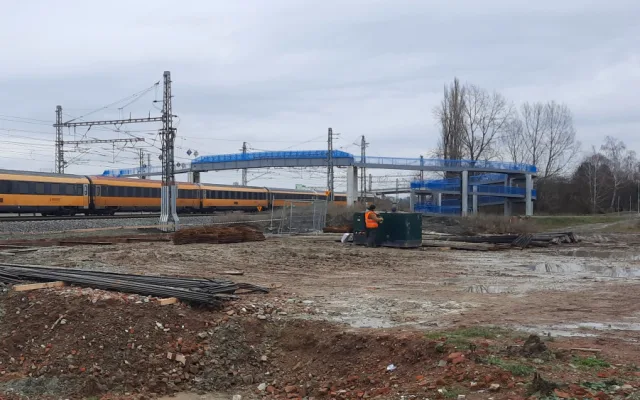Náhradní výsadba za pokácené stromy u D1 až za pět let? To je špatně, rozhodl soud