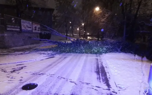 Hasiči se nezastavili, evidují přes 120 výjezdů. Těžký sníh lámal stromy, u Hluboček měl nehodu osobní vlak