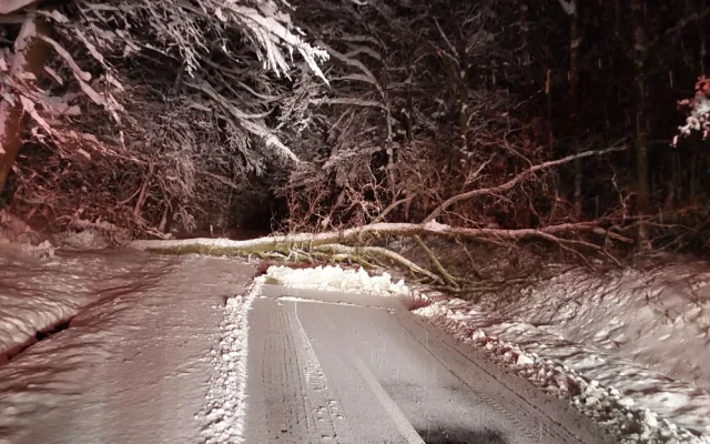 Hasiči se nezastavili, evidují přes 120 výjezdů. Těžký sníh lámal stromy, u Hluboček měl nehodu osobní vlak