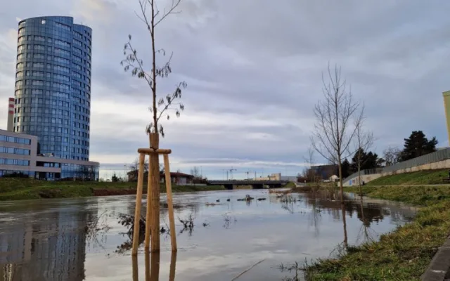 Olomouc vzoruje vodě. Cyklostezka u myší díry je zaplavená, protipovodňová opatření však fungují