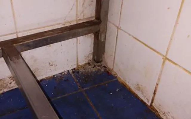 Znečištěné prostory i trus hlodavců. Inspektoři zavřeli kuchyň restaurace v centru Prostějova