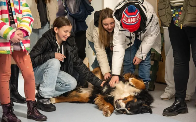 Studenti a učitelé olomouckého gymnázia uspořádali sbírku na canisterapii. Vynesla 80 tisíc korun