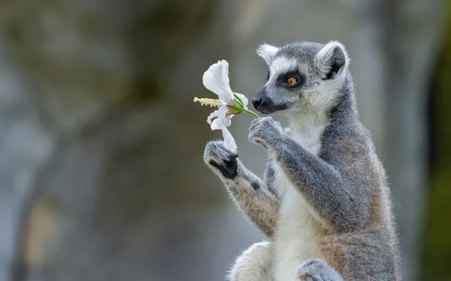 Roční náklady na krmiva v Zoo Olomouc stouply o milion korun