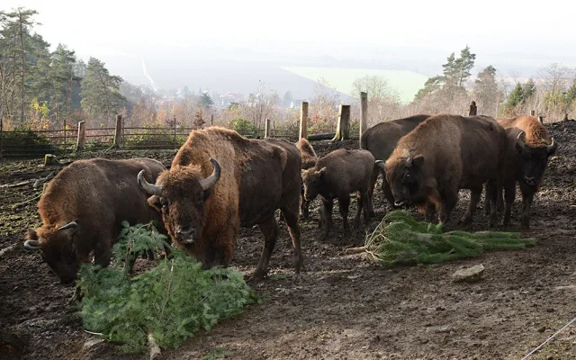 Roční náklady na krmiva v Zoo Olomouc stouply o milion korun