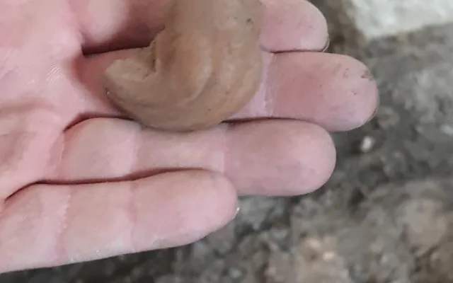 Horní náměstí v Přerově bylo hojně osídlené již v době bronzové. Potvrzují to poslední vykopávky