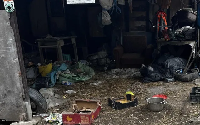 Pokálené obydlí, paraziti a nedostatek krmiva. Inspektoři objevili na Litovelsku zubožené psy a ovce