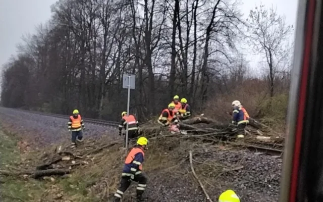 Silný vítr lámal v Olomouckém kraji stromy. Padaly na elektrické dráty, koleje a v Bystrovanech ohrožovaly dům