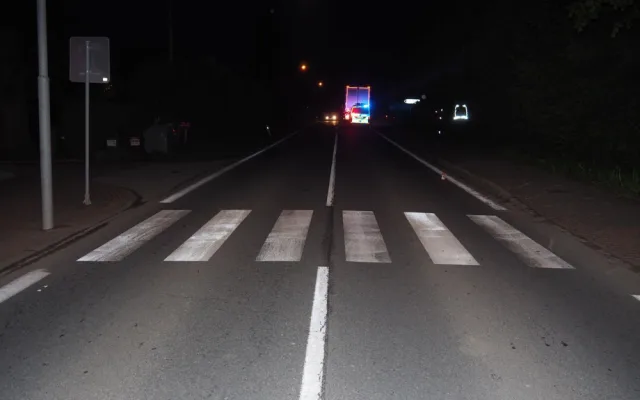 Ve Velkých Losinách se splašil kůň a skočil do cesty kamionu. Veterinářka musela zvíře utratit