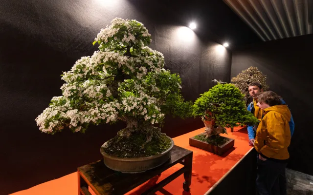FOTOGALERIE: Vesmírná hlavní expozice i zahradnické trhy. Začala jarní Flora Olomouc