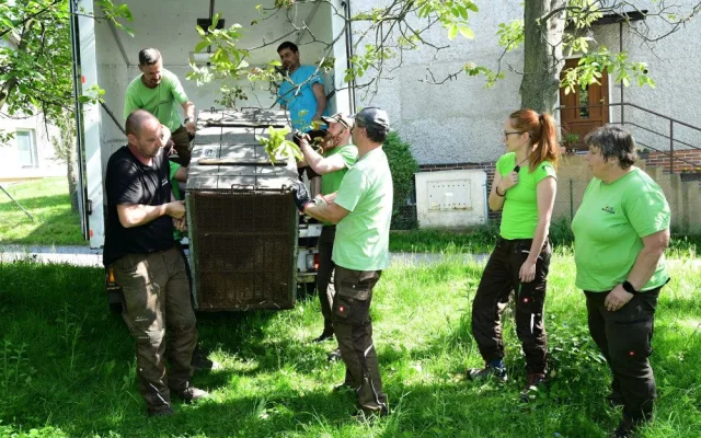 Olomoucká zoo chová nový druh levharta. Ale jen dočasně