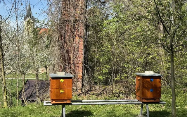 Hejtman pomáhá založit chov včel v Čechách pod Kosířem. Zámek chce obohatit park a nabízet vlastní med