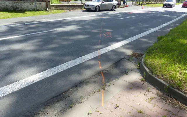 Čivava způsobila nehodu v Písečné. Řidička Octavie strhla řízení, zezadu do ní narazil kamion