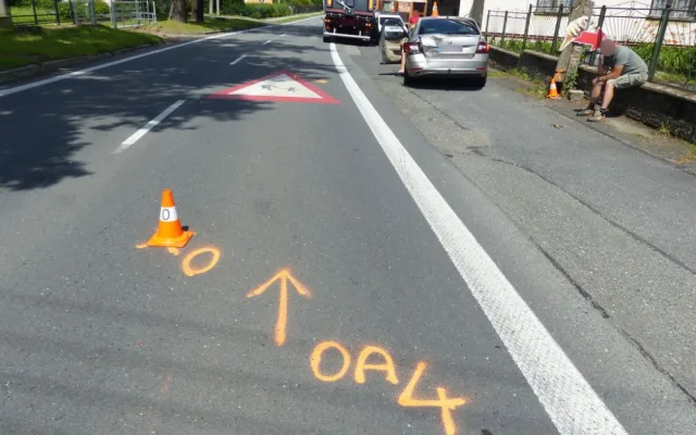 Čivava způsobila nehodu v Písečné. Řidička Octavie strhla řízení, zezadu do ní narazil kamion