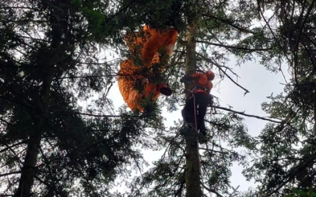 VIDEO: Mladá paraglidistka uvízla na Hranicku v korunách stromů . Z výšky ji zachránili hasiči-lezci