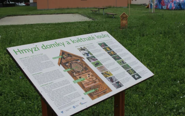 Na několika místech v Olomouci odborníci vysadili louky. Začínají kvést a hmyzí hotely se plní prvními hosty
