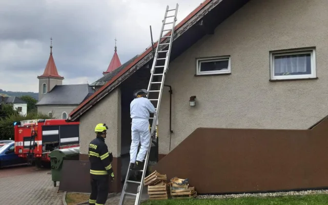 Vosy, včely a sršni útočí. Hasiči v Olomouckém kraji řeší desítky oznámení denně o agresivním bodavém hmyzuat při ohrožení