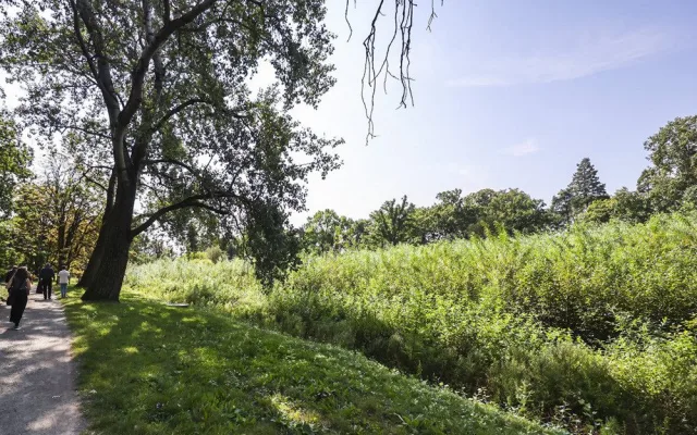 Velký rybník u zámku v Čechách pod Kosířem musel být vypuštěn