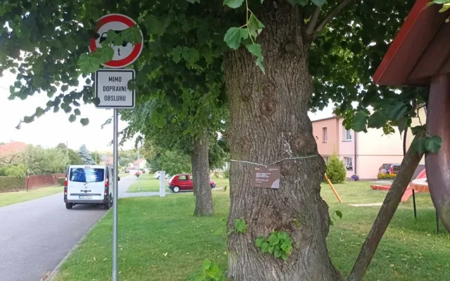 Sto pět let stará lípa z Bousína je v superfinále ankety Strom roku. Hlasovat lze pouze do neděle