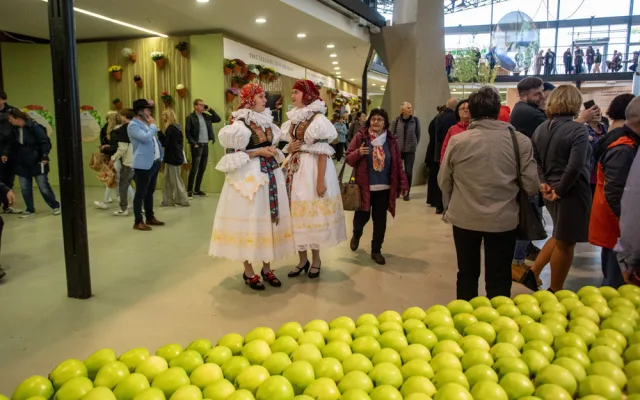 FOTOGALERIE: Podzimní Flora Olomouc otevřela své brány. Hlavní expozici vládne socha Natura