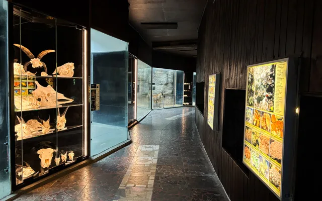 Do pavilonu šelem i na prohlídku zvířecích lebek. Zoo Olomouc připravila speciální expozici