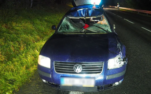 Dvojitý střet s lesní zvěří. Laň na Šumpersku srazili řidiči v obou směrech