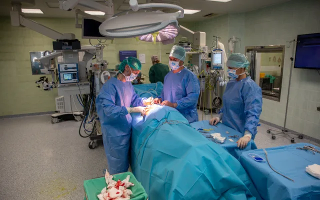 FOTOGALERIE: Šach mat nekonečné bolesti. Lékaři z FN Olomouc implantují nejnovější neurostimulátory