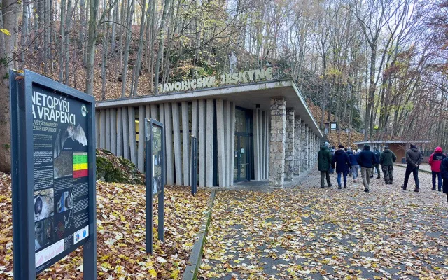 Největší úkryt pro netopýry a vrápence. V Javoříčských jeskyních zimují tisíce letounů