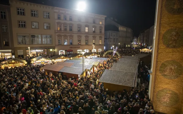 VIDEO: Světelná show zahájila olomoucké Vánoce. Na Hané září sekvojovec jménem Floriánek