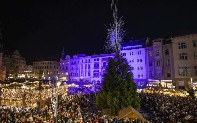 VIDEO: Světelná show zahájila olomoucké Vánoce. Na Hané září sekvojovec jménem Floriánek