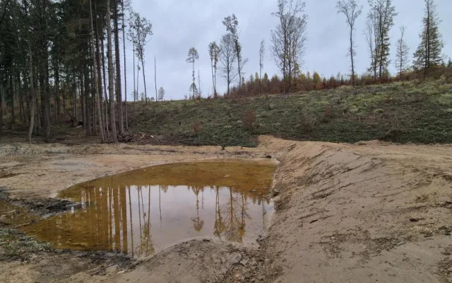 Cyklotrasy, studánka, tůně i nová výsadba. Šumperský příměstský les prošel řadou úprav