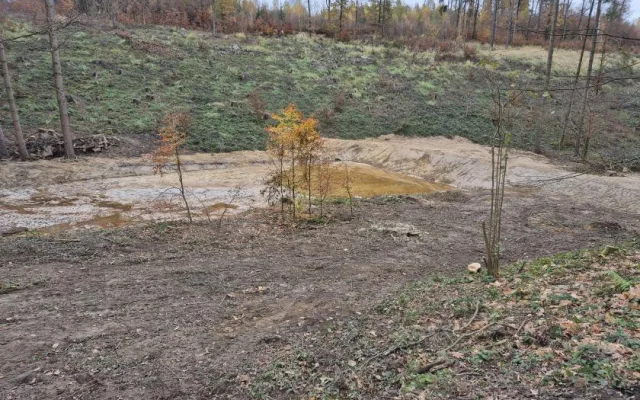 Cyklotrasy, studánka, tůně i nová výsadba. Šumperský příměstský les prošel řadou úprav