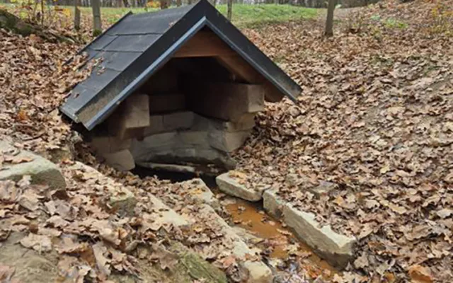 Cyklotrasy, studánka, tůně i nová výsadba. Šumperský příměstský les prošel řadou úprav