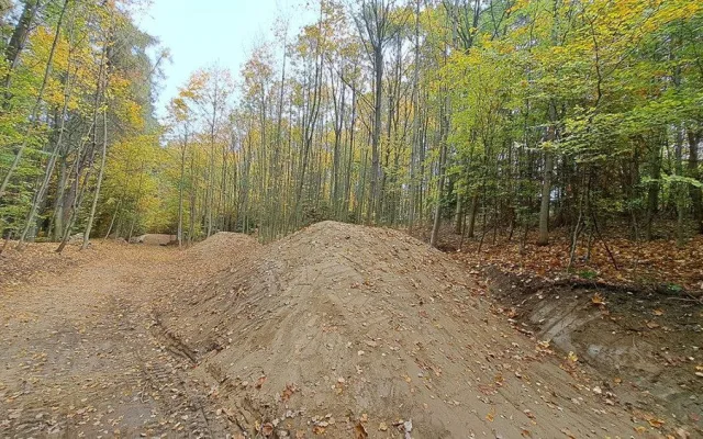 Cyklotrasy, studánka, tůně i nová výsadba. Šumperský příměstský les prošel řadou úprav