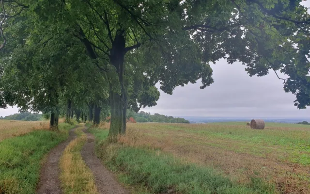 Jánský vrch