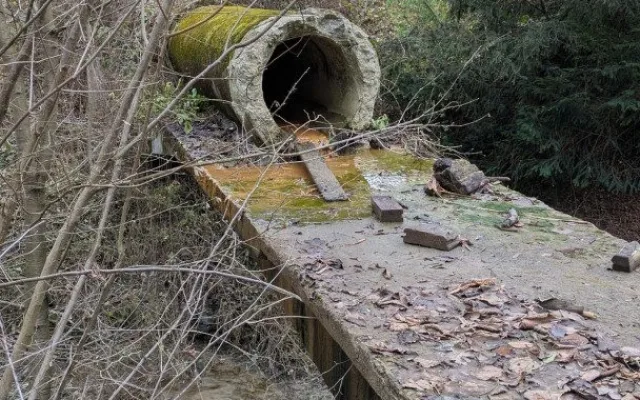 Tajné podzemní chodby až na Kosíř? Revitalizace rybníků v Čechách pod Kosířem oživila dávné pověsti
