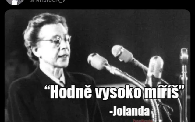 Komunista zesměšňuje popravu Horákové nebo smrt Palacha. Bolševický prase, píší lidé v komentářích
