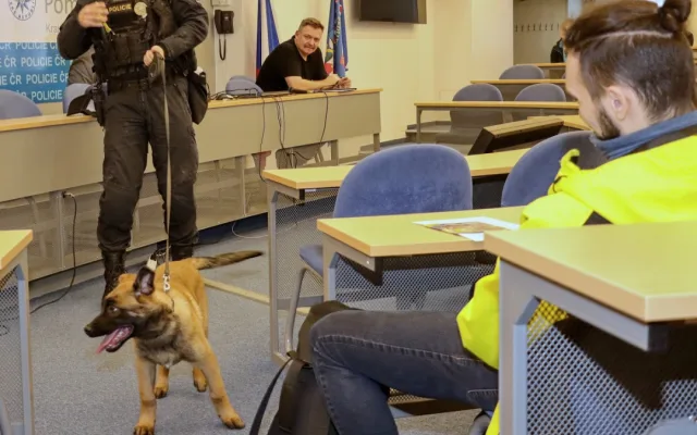 Zvažuješ práci u policie a máš obavy z fyzických testů?