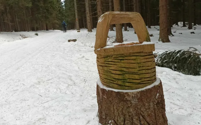 TIP NA VÝLET: Kouzelná procházka k Dalimilově rozhledně a na Paprsek je i pro malé děti