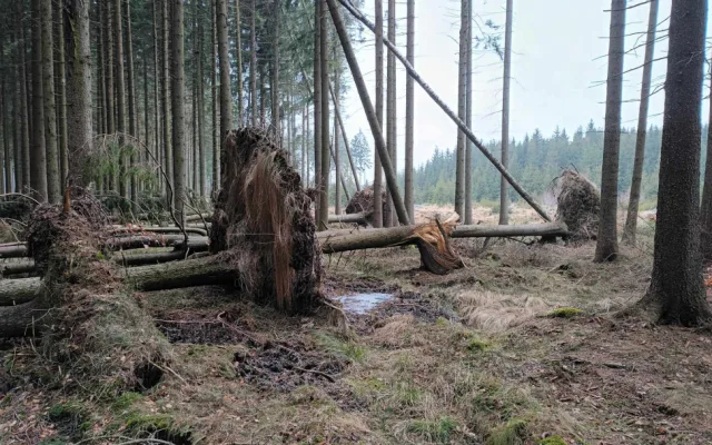 TIP NA VÝLET: Cesta na nejvyšší bod Drahanské vrchoviny. Nenáročná procházka vede krásnými lesy