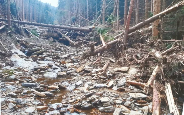 Síla deště. Z Keprníku před půl rokem sjela obří lavina bahna, kamenů a stromů v délce 900 metrů