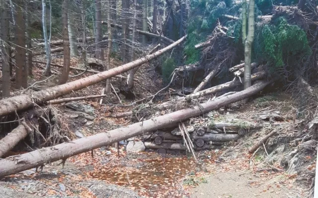 Síla deště. Z Keprníku před půl rokem sjela obří lavina bahna, kamenů a stromů v délce 900 metrů