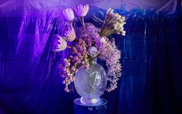Vizuál centrální expozice jarní výstavy Flora Olomouc 2025