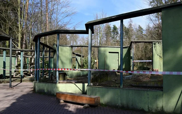 Lemury čeká stěhování. V Zoo Olomouc pro ně připravují příhodnější výběh