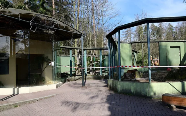 Lemury čeká stěhování. V Zoo Olomouc pro ně připravují příhodnější výběh