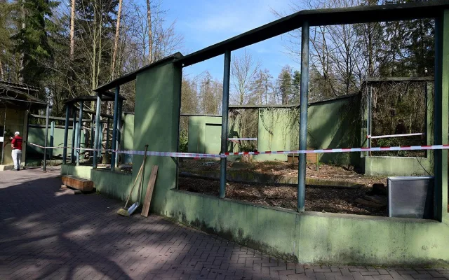 Lemury čeká stěhování. V Zoo Olomouc pro ně připravují příhodnější výběh