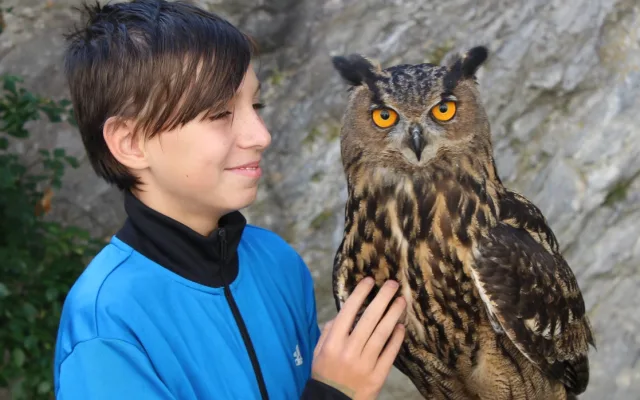 Zažijte velkolepý Velikonoční šermířský jarmark s komedianty na zámku Plumlov