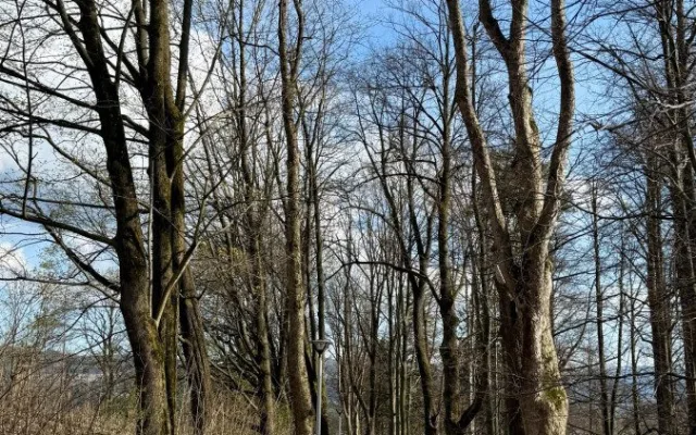 Do lázní v Jeseníku bezpečně. Město dokončilo nových moderní chodník