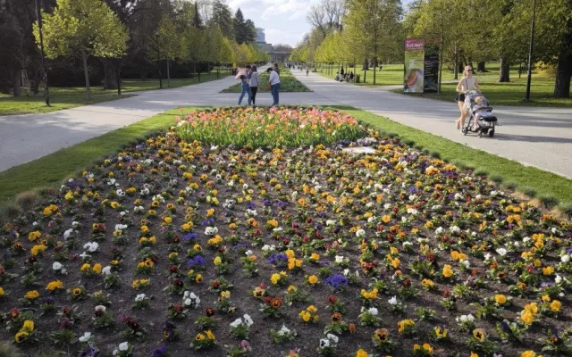 GLOSA: Tristní stav záhonů, ale expozice za miliony. To je další Flora Olomouc