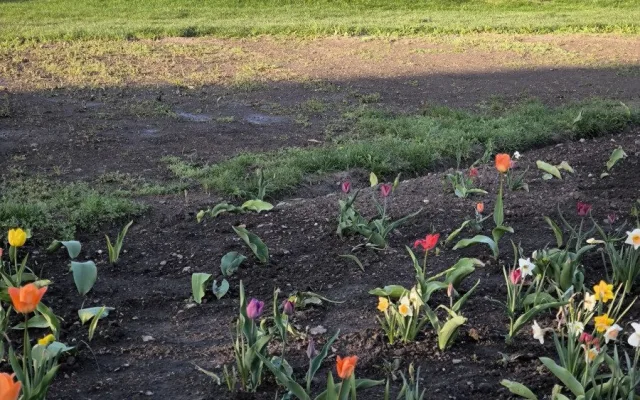 GLOSA: Tristní stav záhonů, ale expozice za miliony. To je další Flora Olomouc