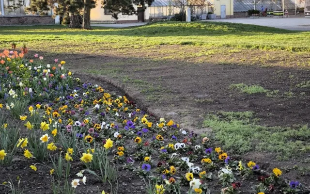 GLOSA: Tristní stav záhonů, ale expozice za miliony. To je další Flora Olomouc